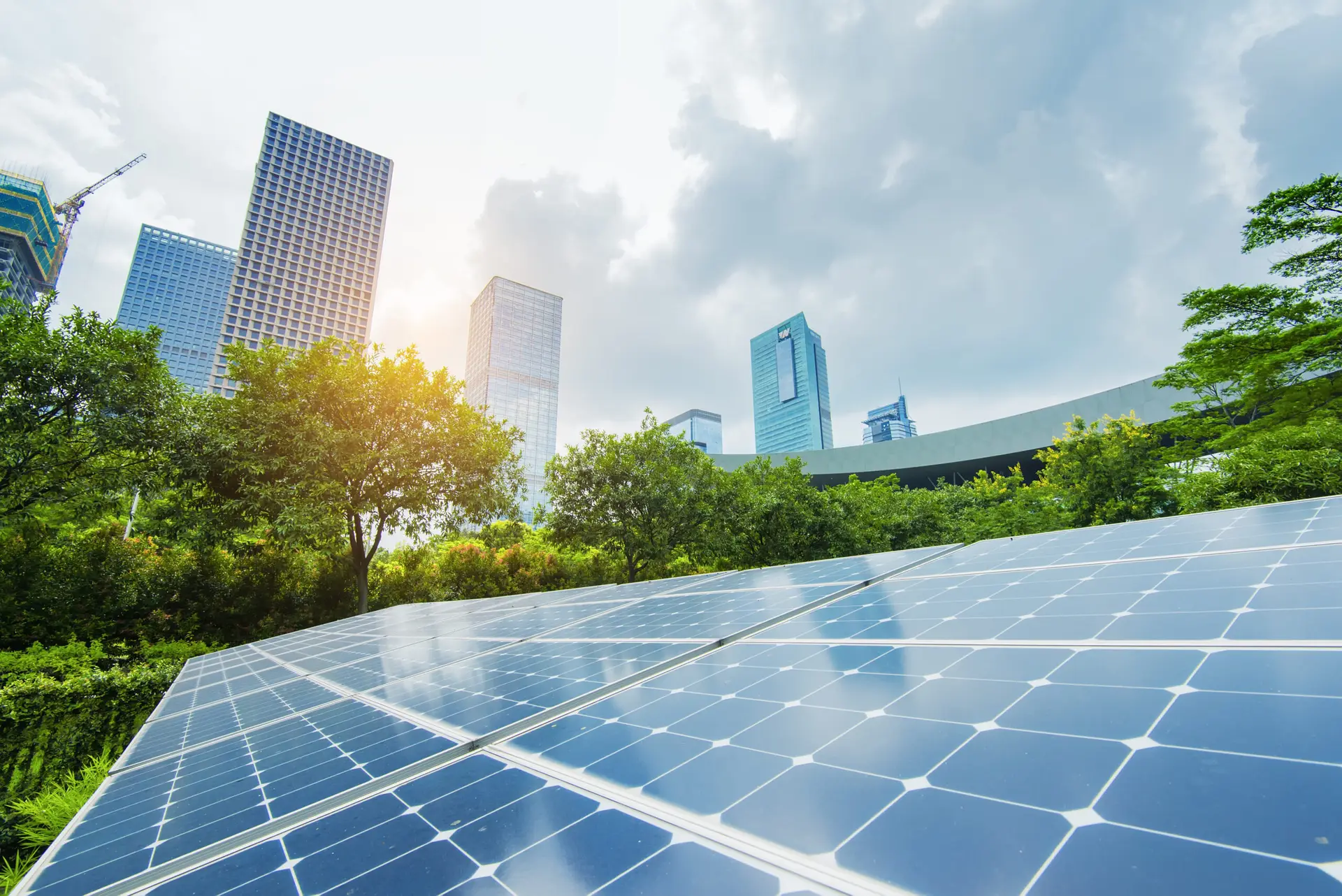 Solar Panels In The Park Of Modern City